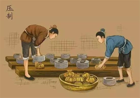 制茶八步驟，制茶工藝流程圖