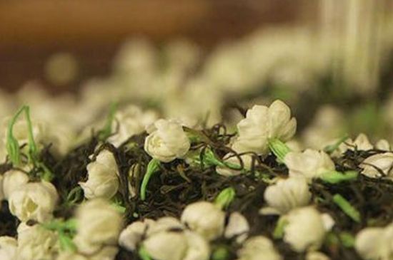 蒸茶器可以蒸花茶嗎，蒸茶器能用來蒸茉莉花茶嗎？