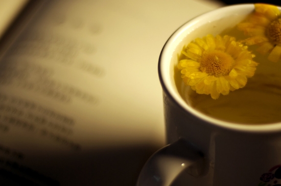經(jīng)常菊花泡水好嗎，喝菊花茶有什么好處？