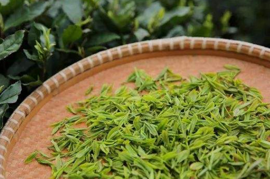 炒青綠茶與綠茶的區(qū)別，烘青和炒青哪個(gè)好喝？