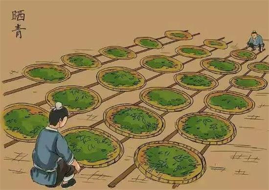 制茶八步驟，制茶工藝流程圖