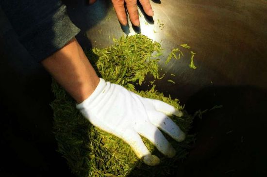 茶葉怎么炒制才香，怎樣炒茶葉更香？