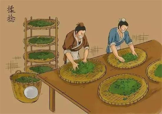 制茶八步驟，制茶工藝流程圖