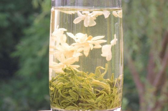 茉莉龍珠可以和什么一起泡茶，茉莉龍珠茶能加蜂蜜嗎？