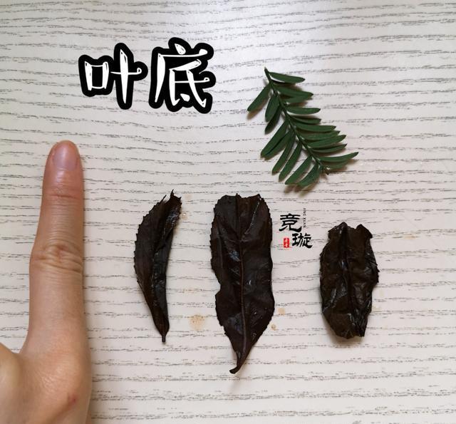 正山小種很細還很黑亮，正山小種越細越好嗎