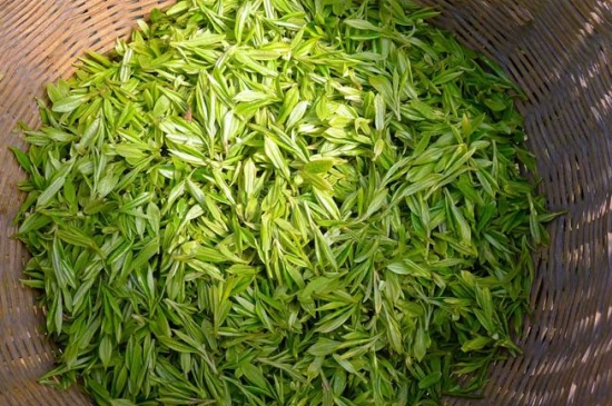 烏牛早和龍井的區(qū)別圖片，龍井43號(hào)和烏牛早茶的對(duì)比