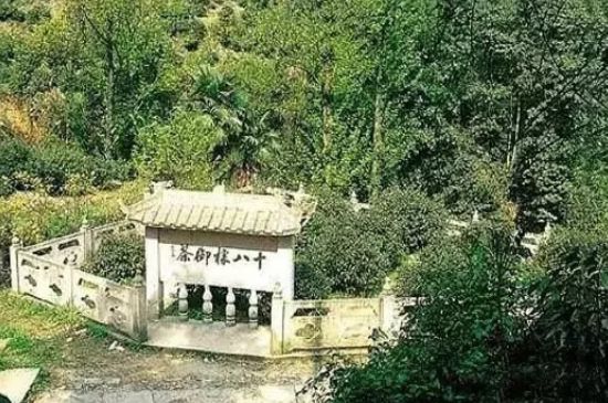 母樹大紅袍給誰喝了，為什么母樹大紅袍叫三棵六株？