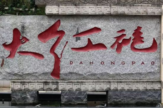 母樹大紅袍給誰喝了，為什么母樹大紅袍叫三棵六株？