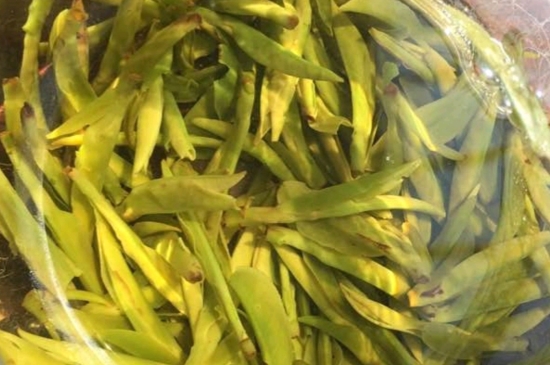 龍井是明前的好還是雨前的好，明前茶和雨前茶哪個(gè)好喝？