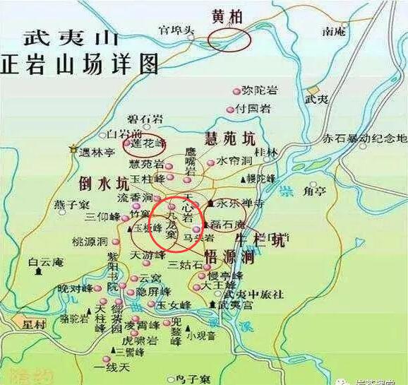 母樹大紅袍給誰喝了，為什么母樹大紅袍叫三棵六株？