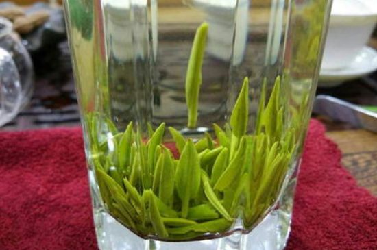 雀舌有一股青草味，雀舌為什么有青草味？