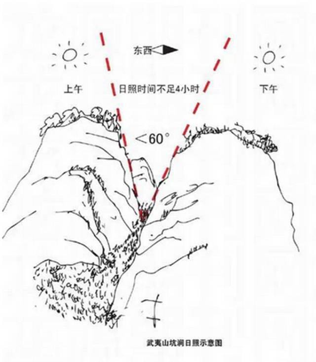 武夷山為什么盛產(chǎn)茶葉，武夷山茶為什么好喝？