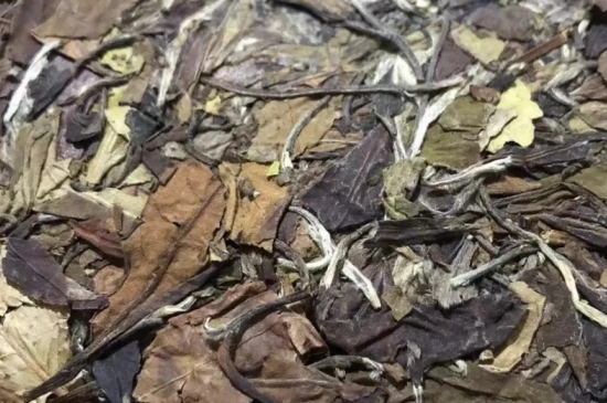 老白茶上火還是去火？夏季喝煮的老白茶會容易上火！
