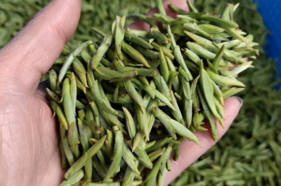 龍井茶好壞的鑒別圖片，如何區(qū)別龍井茶的好壞？