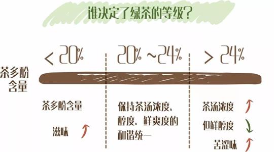 什么綠茶口味重口感濃郁，口味比較重的綠茶都有那些？
