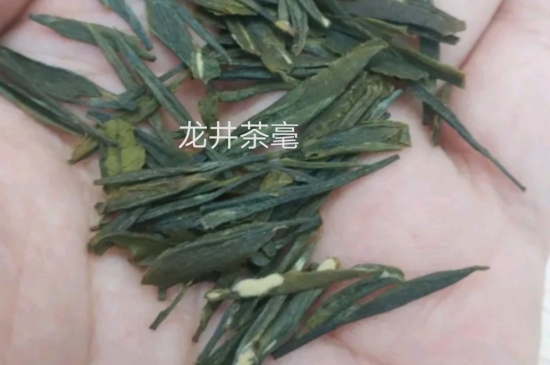 西湖龍井茶毫和發(fā)霉區(qū)別圖片，長(zhǎng)霉的龍井茶葉會(huì)是什么樣？