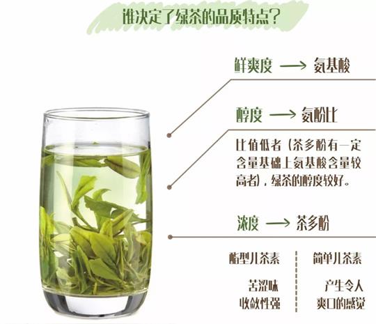 什么綠茶口味重口感濃郁，口味比較重的綠茶都有那些？
