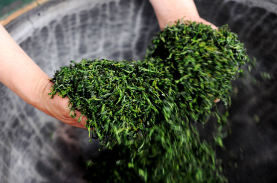 潮汕炒茶屬于什么茶，潮汕炒茶是綠茶嗎？