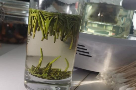 金壇雀舌算不算好茶，金壇雀舌屬于什么檔次茶葉？