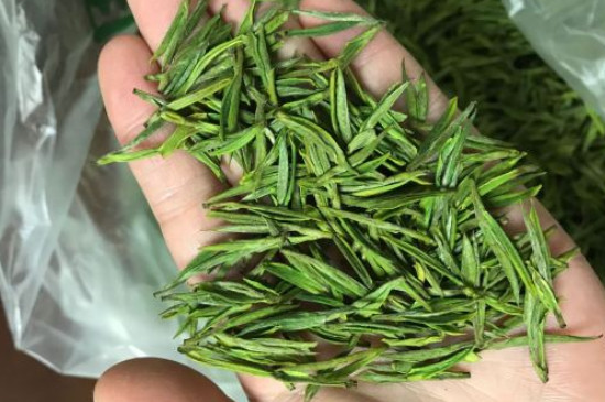 什么綠茶茶葉唇齒留香，哪個品種綠茶香氣好？