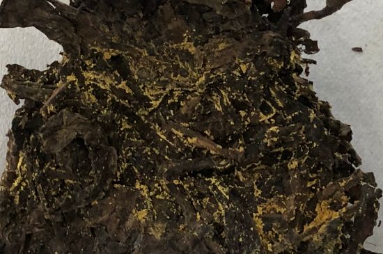 怎么知道涇渭茯茶是否變質(zhì)，茯磚茶金花和發(fā)霉的區(qū)別