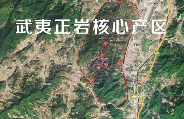 武夷山為什么盛產(chǎn)茶葉，武夷山茶為什么好喝？
