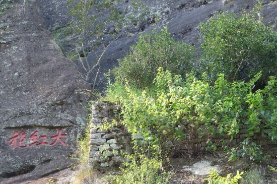 母樹大紅袍給誰喝了，為什么母樹大紅袍叫三棵六株？