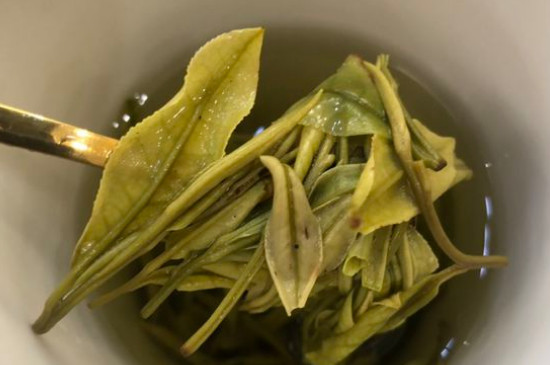 新舊白茶怎么區(qū)分，怎么分辨白茶是新還是舊