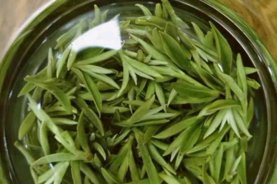 什么綠茶茶葉唇齒留香，哪個品種綠茶香氣好？