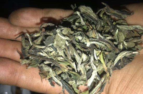 7年壽眉和2年白牡丹哪個好，老白茶壽眉與白牡丹的口感區(qū)別