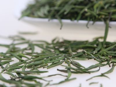 霍山黃芽算是好茶嗎，霍山黃芽屬于什么茶？