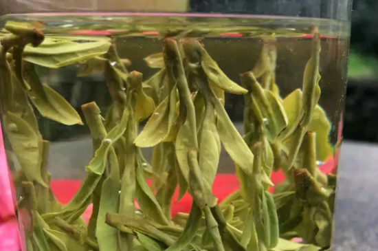 什么綠茶最香最好喝，綠茶口感與香氣排名
