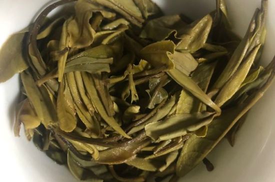 三年白茶賽砒霜，這是真的嗎？
