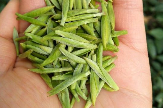 什么綠茶味道濃香，那個(gè)綠茶比較濃香？