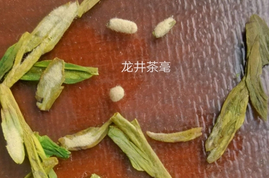 西湖龍井茶毫和發(fā)霉區(qū)別圖片，長(zhǎng)霉的龍井茶葉會(huì)是什么樣？