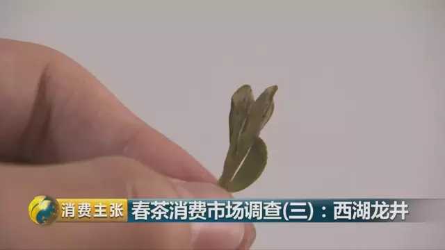 龍井群體種和43號(hào)的區(qū)別圖片，龍井43和群體種哪個(gè)好喝？