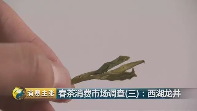 龍井群體種和43號(hào)的區(qū)別圖片，龍井43和群體種哪個(gè)好喝？