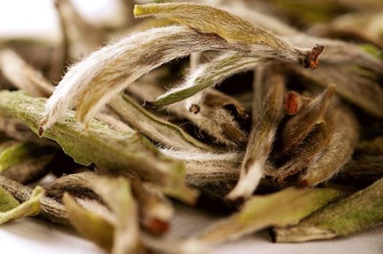 荒野銀針有什么特點(diǎn)，荒野銀針的味道口感咋樣？