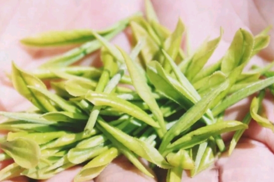龍井是明前的好還是雨前的好，明前茶和雨前茶哪個(gè)好喝？