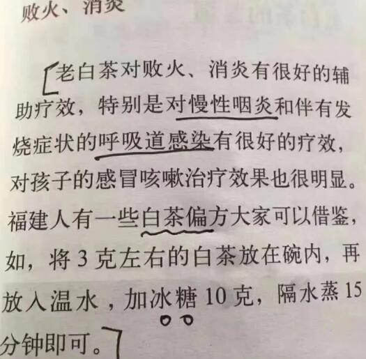 老白茶上火還是去火？夏季喝煮的老白茶會容易上火！