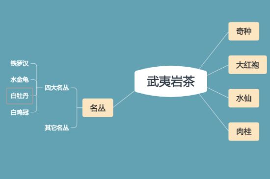 武夷巖茶品種大全，巖茶有幾種？