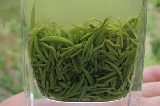 什么綠茶茶葉唇齒留香，哪個品種綠茶香氣好？
