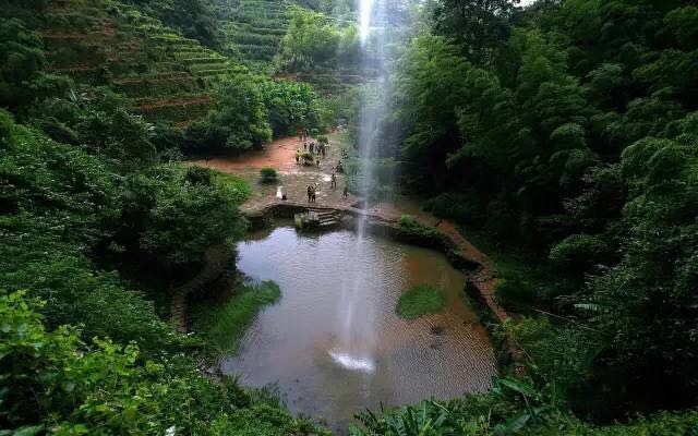 武夷山為什么盛產(chǎn)茶葉，武夷山茶為什么好喝？