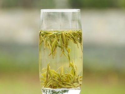 霍山黃芽算是好茶嗎，霍山黃芽屬于什么茶？