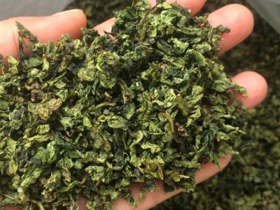 鐵觀音毛茶茶梗可以泡水喝嗎，鐵觀音帶梗是不是好茶？