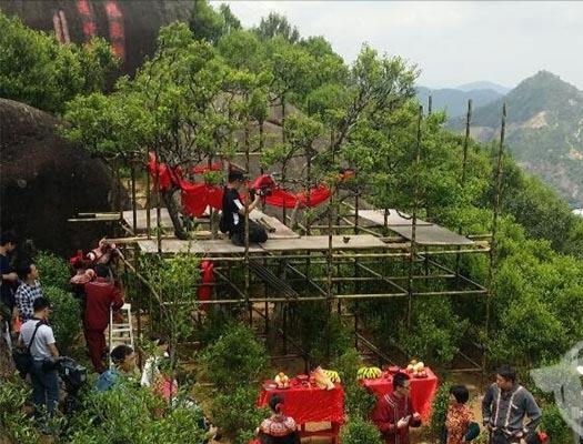 宋種一號價值為什么高，鳳凰單樅宋種1號價格與產(chǎn)量多少？