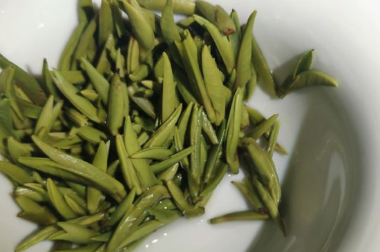 竹葉青茶怎么泡，竹葉青如何沖泡