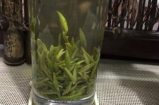 金壇雀舌什么檔次，金壇雀舌算不算好茶？