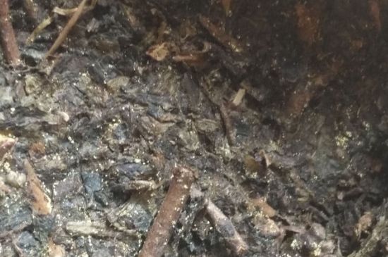 黑茶茯茶保存五大忌，茯茶收藏的注意事項