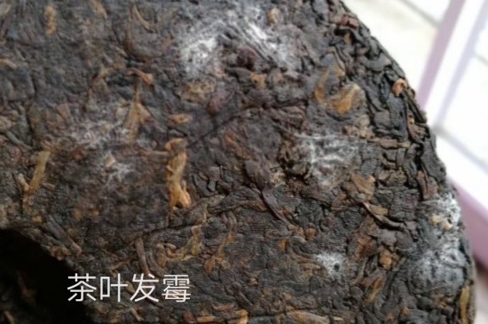 西湖龍井茶毫和發(fā)霉區(qū)別圖片，長(zhǎng)霉的龍井茶葉會(huì)是什么樣？